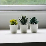 Apartmán Studio Bethel Lutych