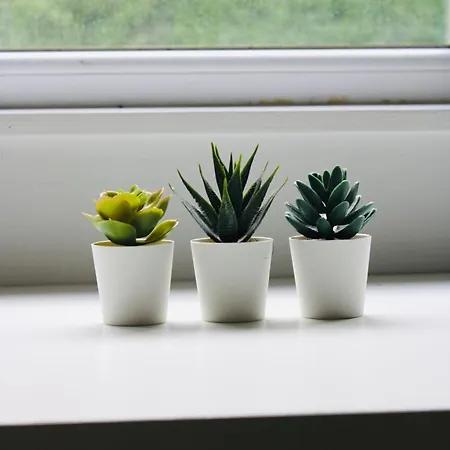 Lejlighed Studio Bethel Liège