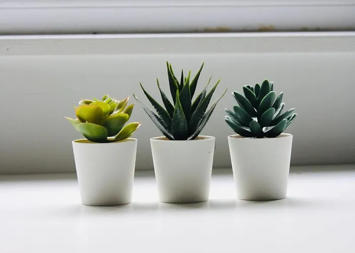 Apartment Studio Bethel Lüttich